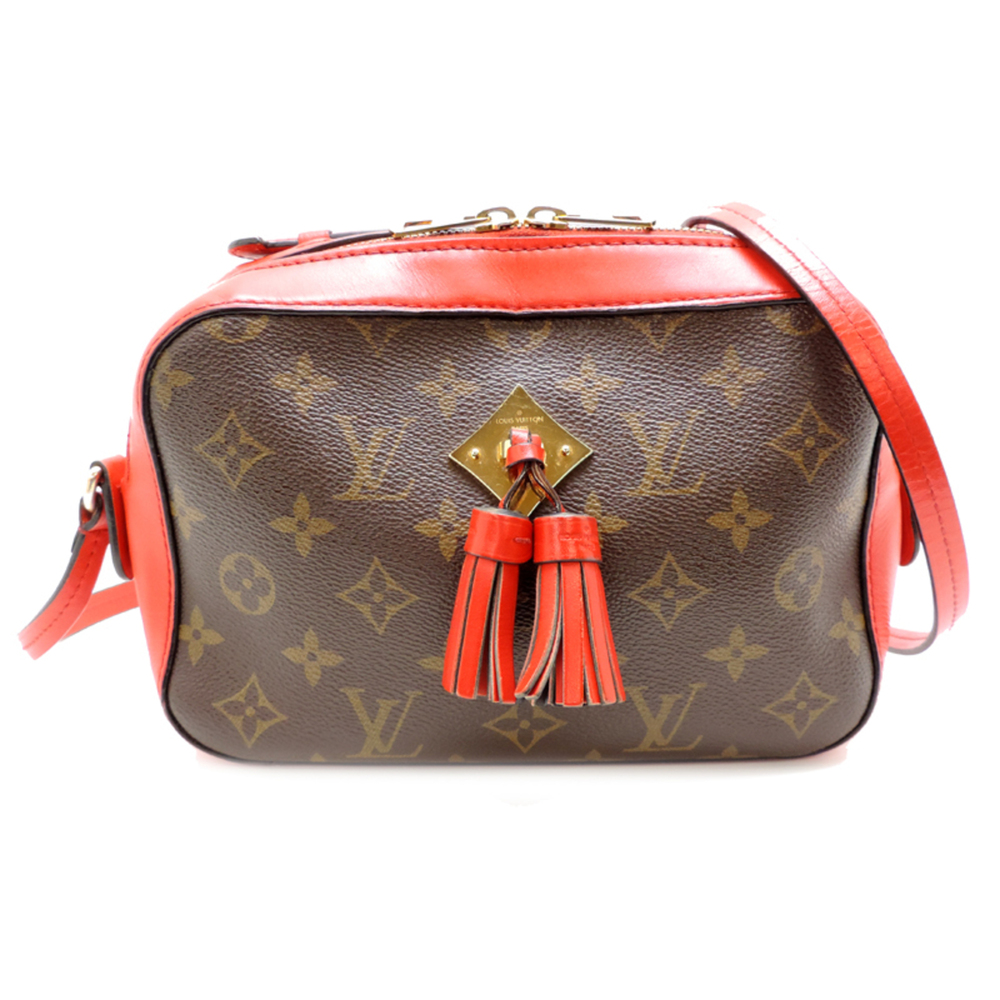 LOUIS VUITTON Bag